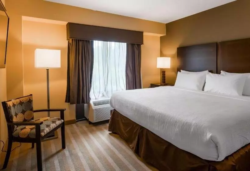 身障者適用キングサイズベッドルーム, Best Western Plus Thornburg Inn & Suites