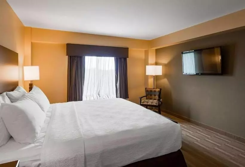 身障者適用キングサイズベッドルーム, Best Western Plus Thornburg Inn & Suites