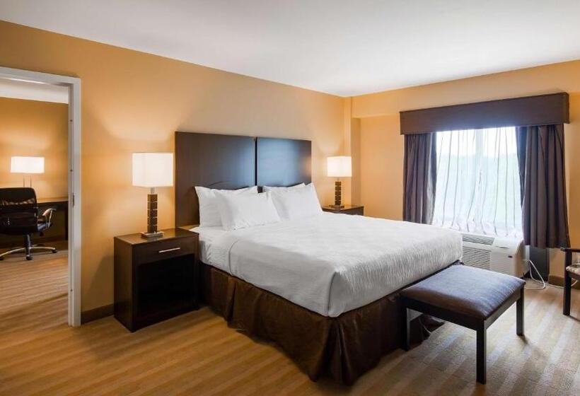 身障者適用キングサイズベッドルーム, Best Western Plus Thornburg Inn & Suites