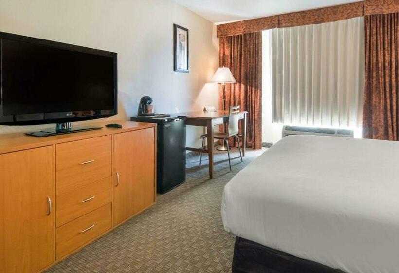 스탠다드 룸 킹사이즈 침대, Rodeway Inn