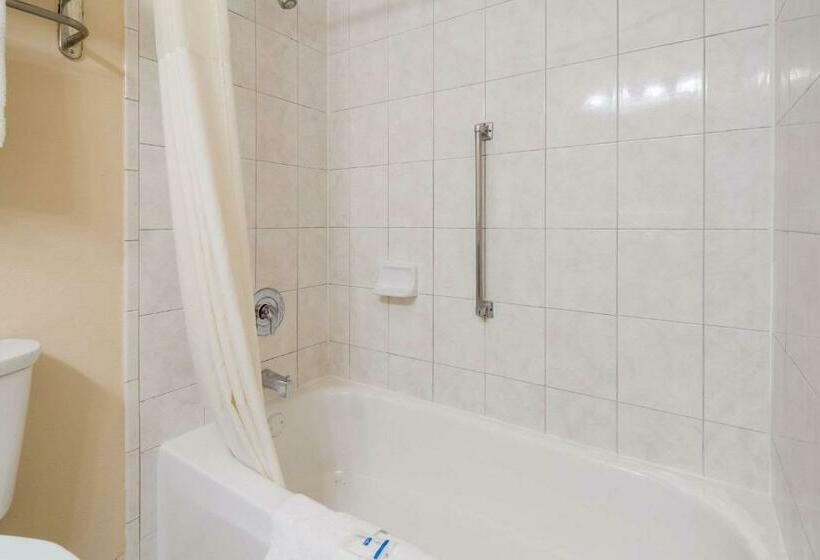 스탠다드 룸 킹사이즈 침대, Rodeway Inn