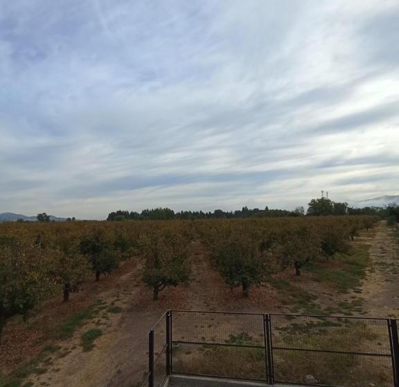 スタンダードルーム, Casa Pequen