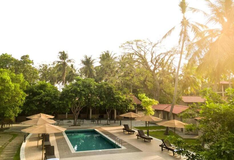 Номер Стандарт Вид на Бассейн, Malala Retreat