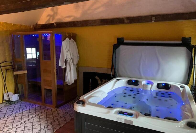 חדר סופריור עם מיטת קינג, Hamiora Wellness B&b