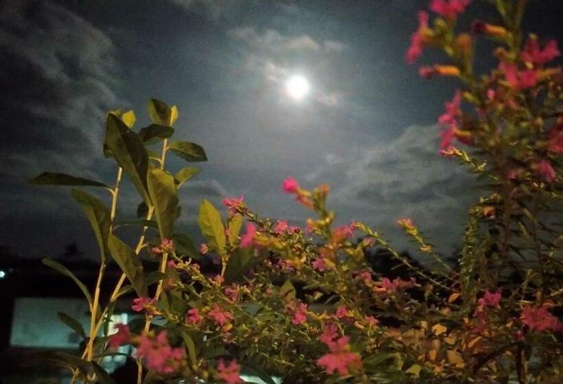 חדר סטנדרט נוף להרים, Nobody Inn Bali At Arya Guest House