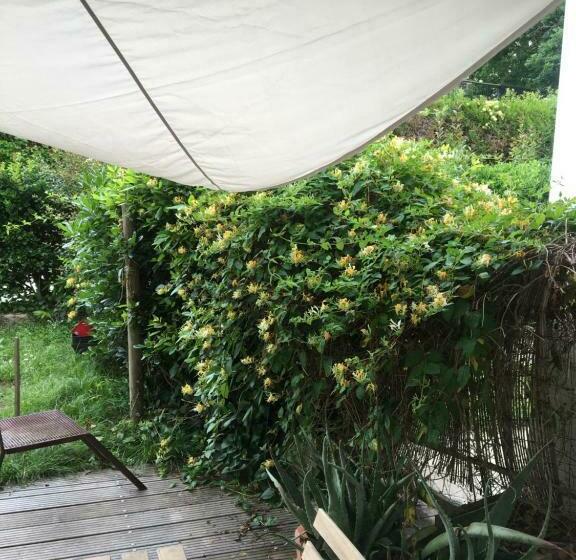 Номер Стандарт Трехместный, Cosy Private Bath And Garden