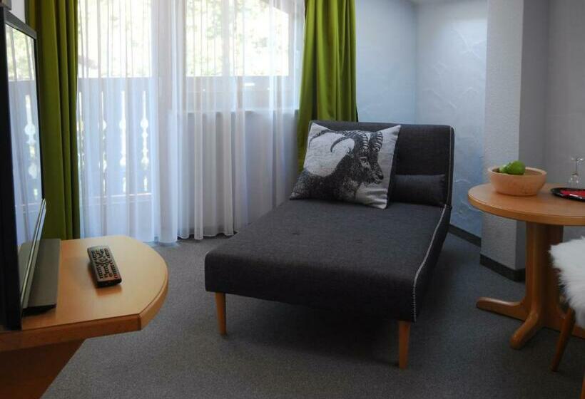 Comfort-huone, Alpenlodge Pfronten