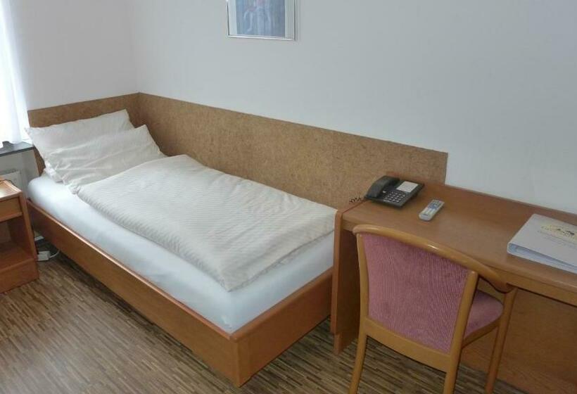 غرفة قياسية فردية, Central Hotel Greiveldinger