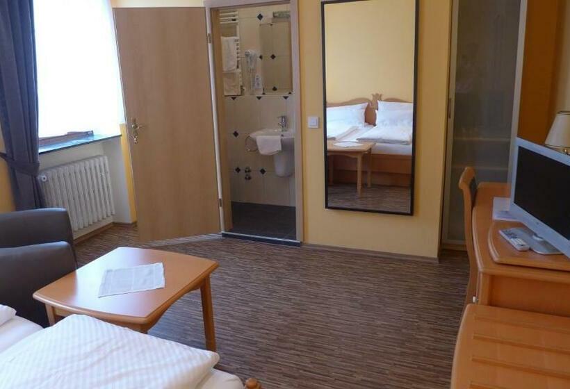 غرفة قياسية, Central Hotel Greiveldinger