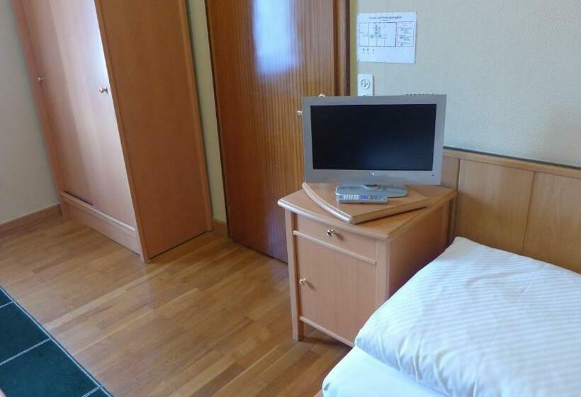 غرفة قياسية, Central Hotel Greiveldinger