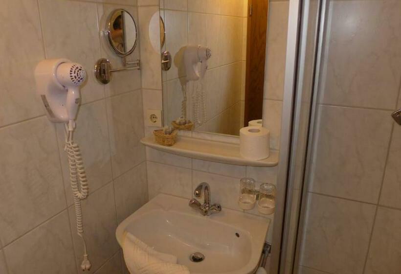 غرفة قياسية, Central Hotel Greiveldinger