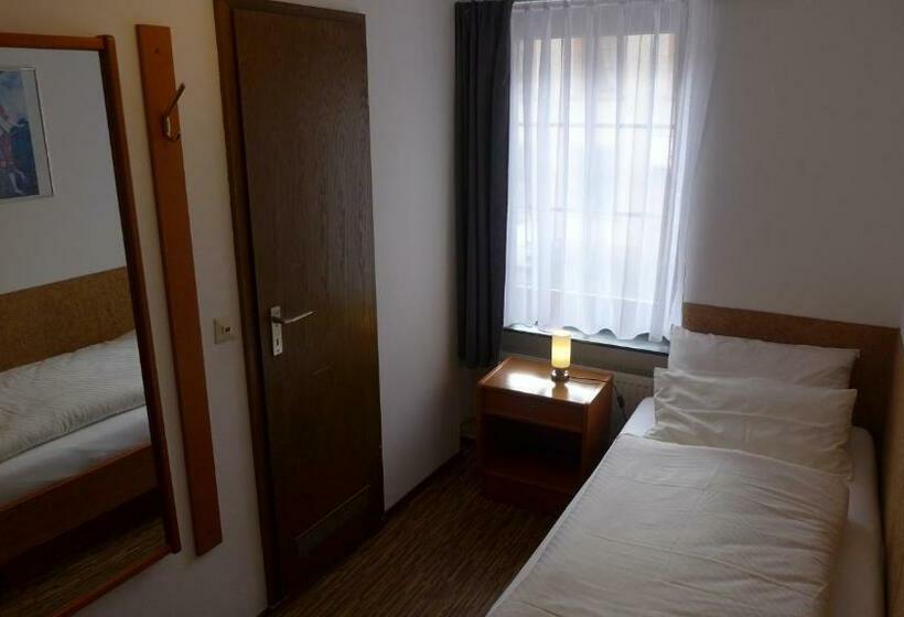 스탠다드 싱글 룸, Central Hotel Greiveldinger