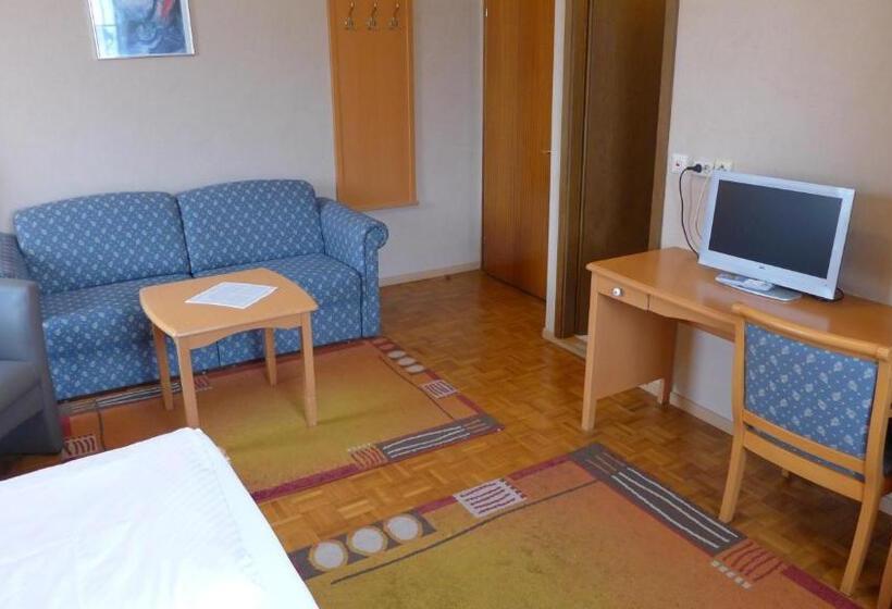 غرفة قياسية, Central Hotel Greiveldinger