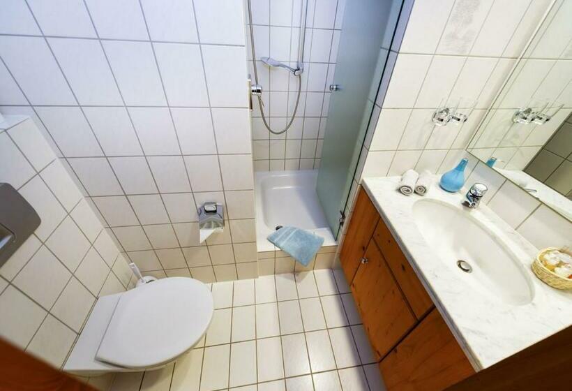 스탠다드 싱글 룸, Gasthof Krone