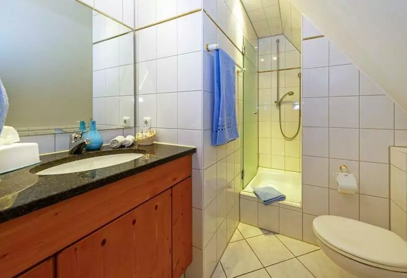 اتاق استاندارد یک نفره, Gasthof Krone