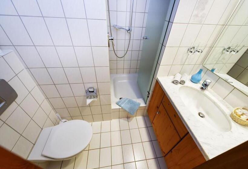 이코노미 룸, Gasthof Krone