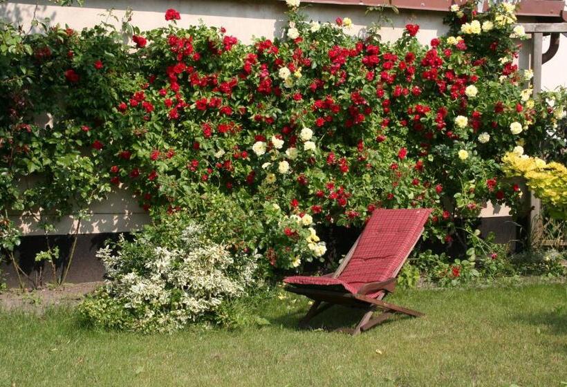 ２ベッドルームアパートメント, Pension Villa Beer