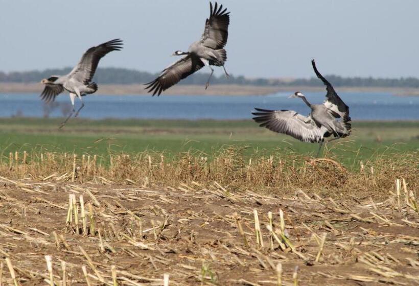 Номер Стандарт Адаптированный для Инвалидов, Seeblick