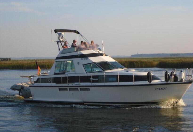 Семейный Номер, Seeblick