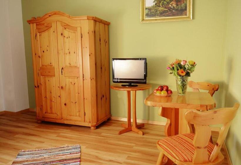 Номер Стандарт Индивидуальный, Tutzinger Hof