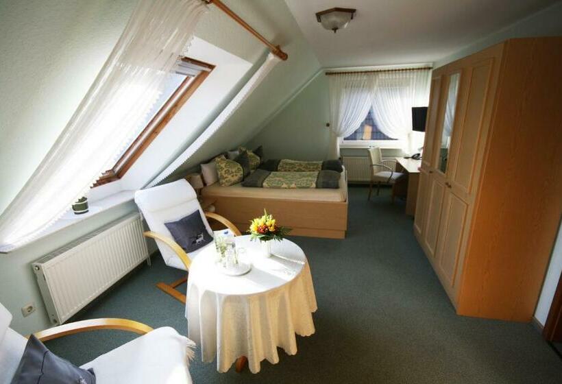 스탠다드 룸, Parkhotel Phoenix Garni