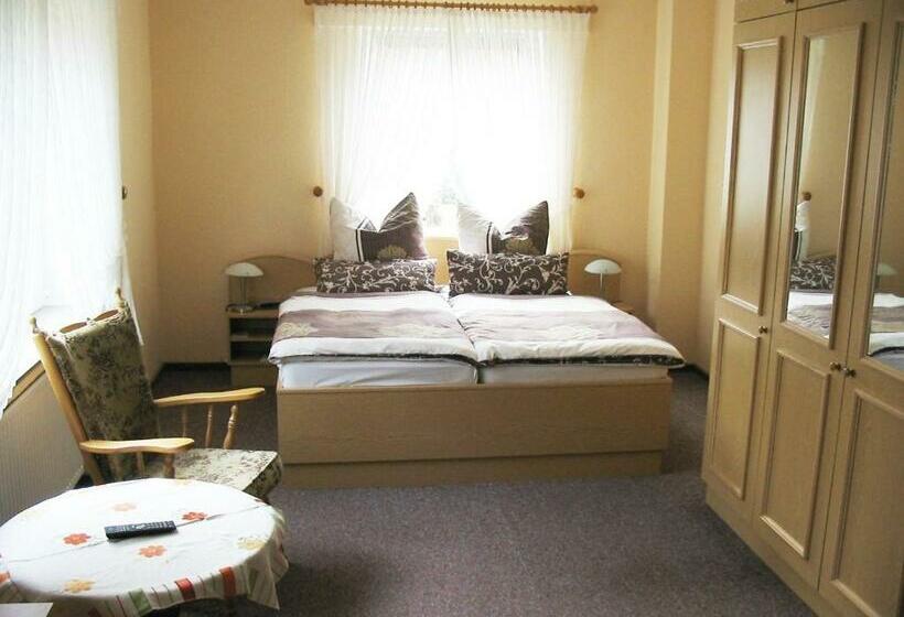 스탠다드 룸, Parkhotel Phoenix Garni