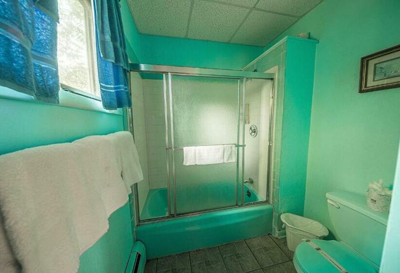 חדר סטנדרט עם מיטת קינג, Park Motel And Cabins