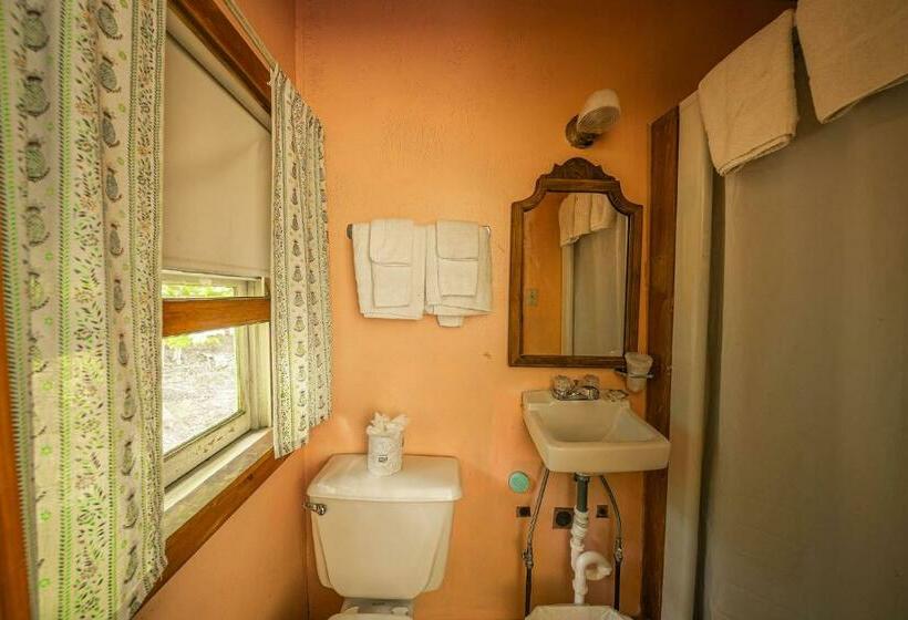 חדר סטנדרט עם מיטת קינג, Park Motel And Cabins