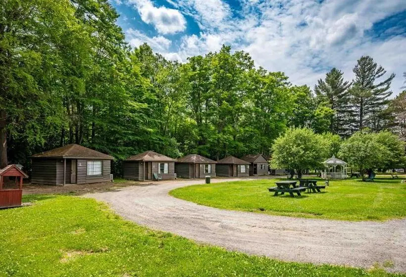キングサイズベッドのデラックスルーム, Park Motel And Cabins
