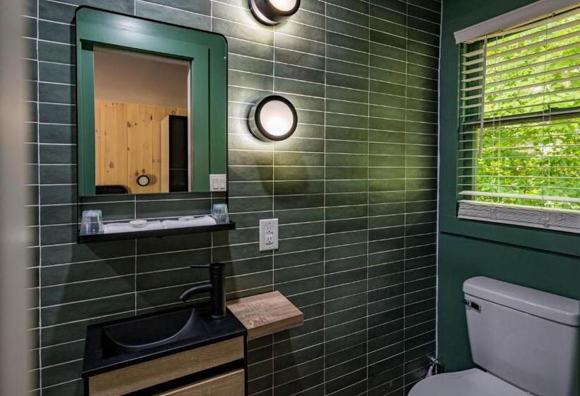 חדר דחוקס עם מיטת קינג, Park Motel And Cabins