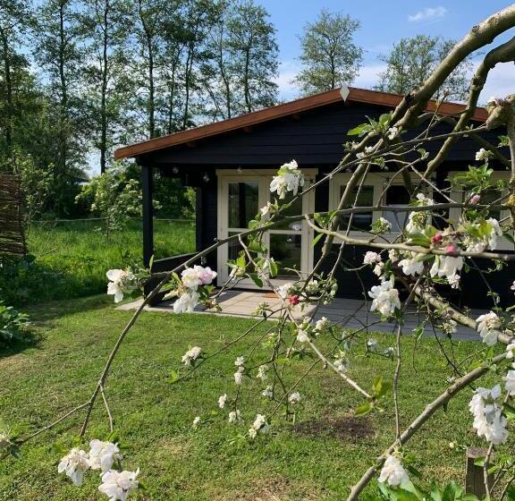 Стандартный Номер Кровать Кинг, Fields 1216