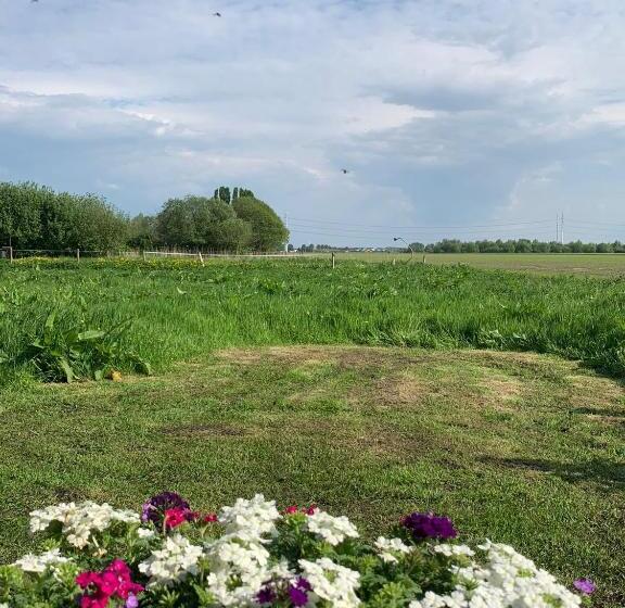 Стандартный Номер Кровать Кинг, Fields 1216