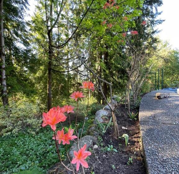 Люкс с Бассейном, The Rhodo Place