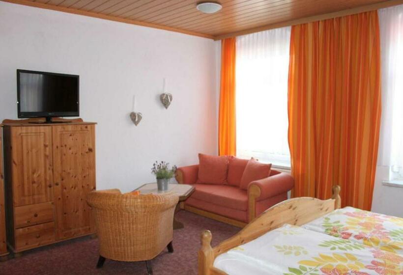 غرفة قياسية, Pension Am Stadtgraben