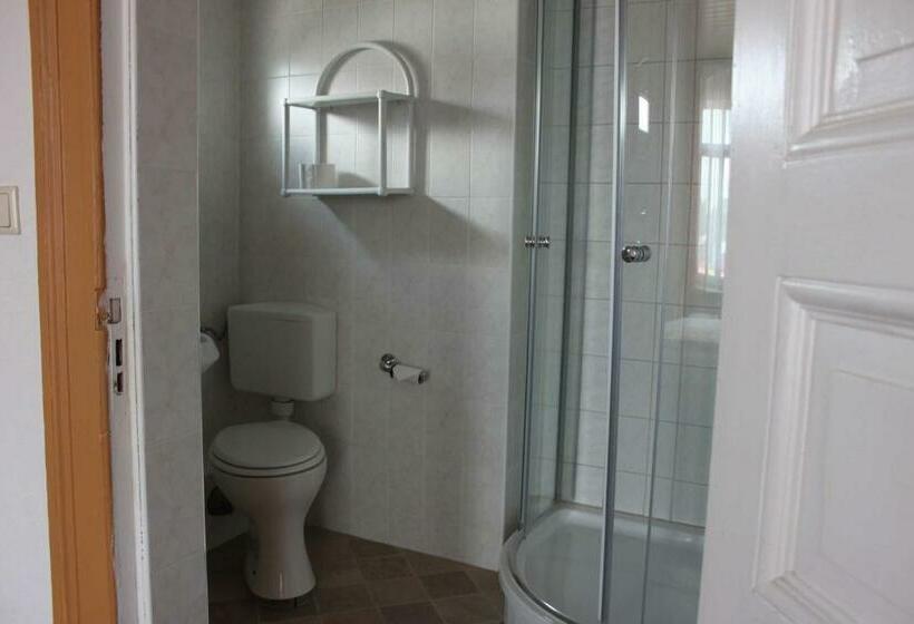 غرفة ديلوكس, Pension Am Stadtgraben