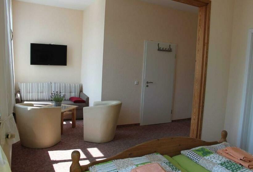 غرفة قياسية, Pension Am Stadtgraben