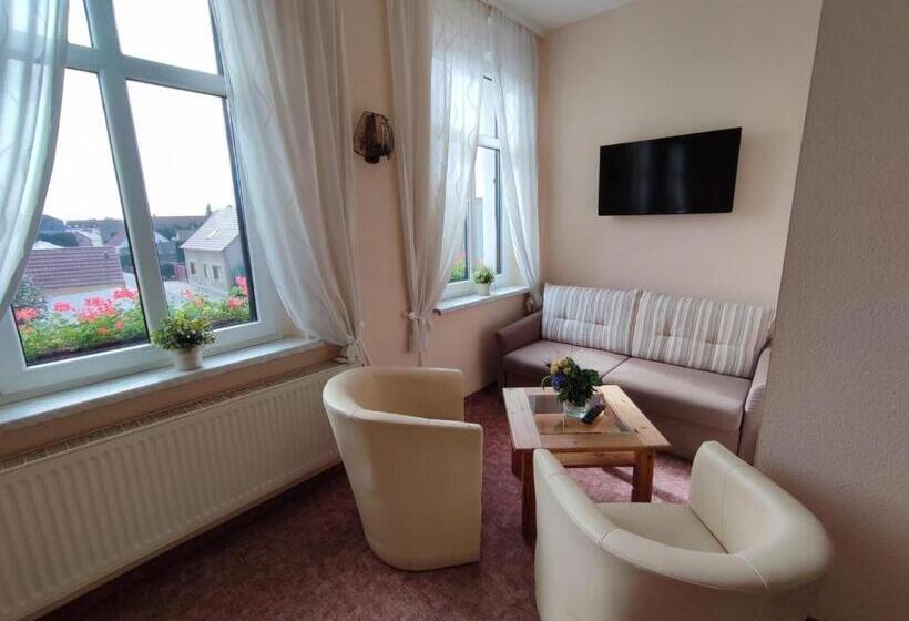 غرفة قياسية, Pension Am Stadtgraben