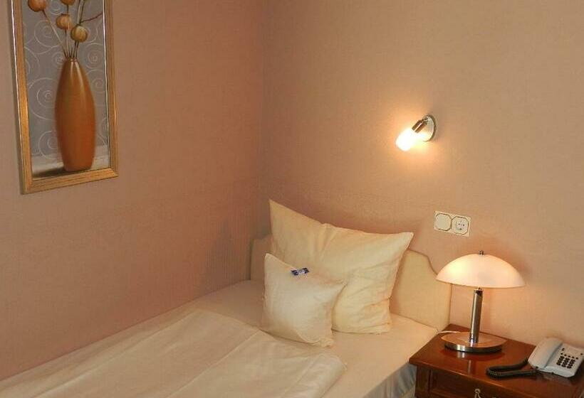 غرفة قياسية فردية مطلّة علي النهر, Garni Hotel Moselschild