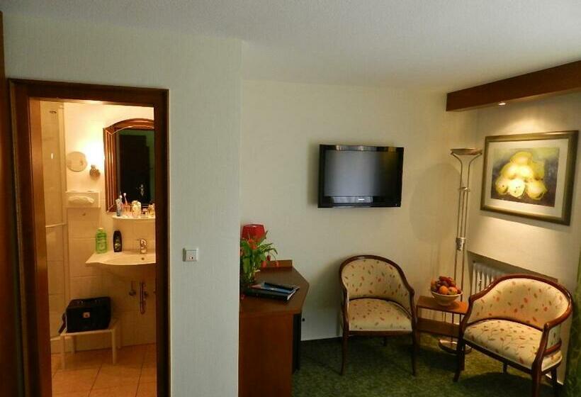 Номер Стандарт Вид на Реку, Garni Hotel Moselschild