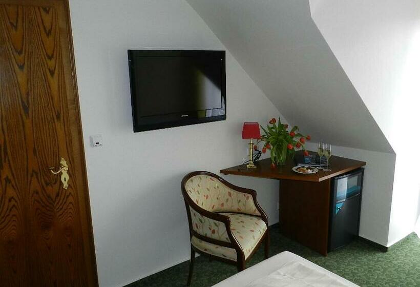 غرفة قياسية مطلّة علي النهر, Garni Hotel Moselschild