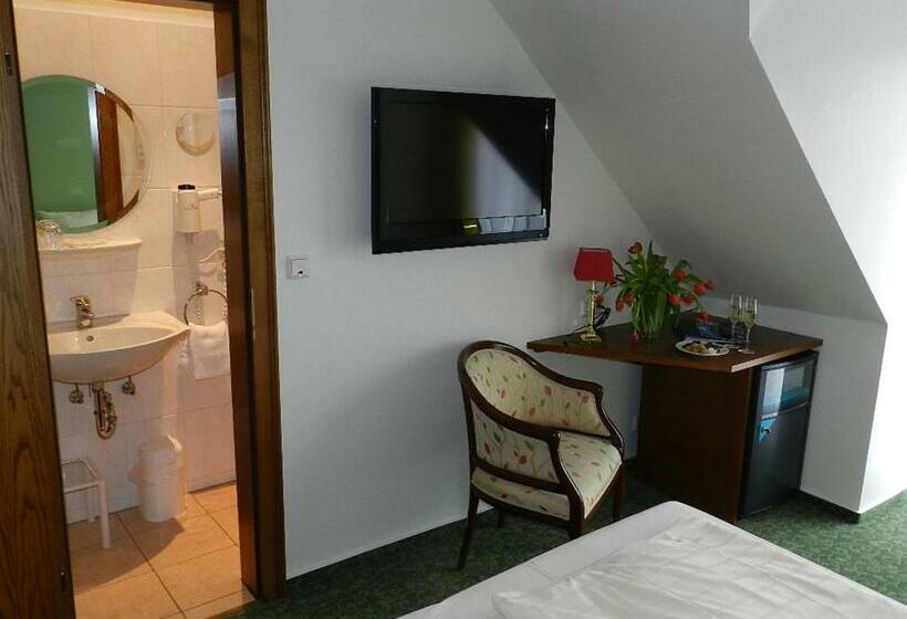 Номер Стандарт Вид на Реку, Garni Hotel Moselschild