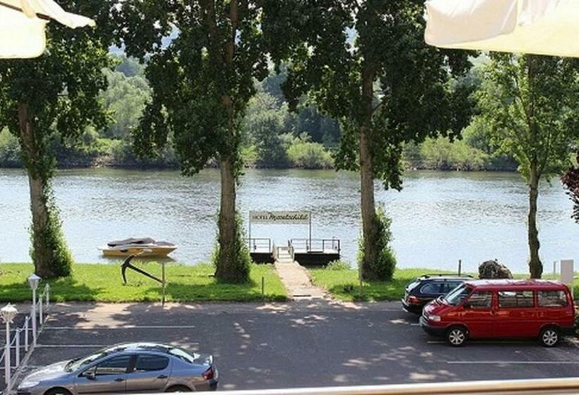 غرفة قياسية مطلّة علي النهر, Garni Hotel Moselschild