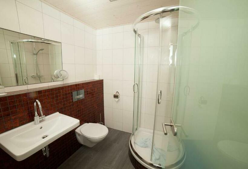 Tek Kişilik Delüks Oda, Goldener Stern