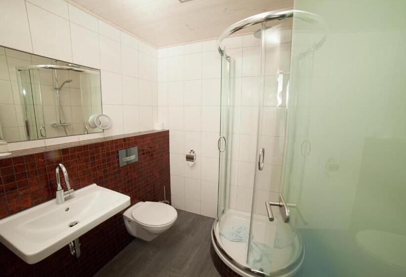 高级单人间, Goldener Stern