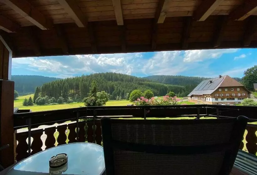 バルコニー付きシングルスタンダードルーム, Landgasthof Jostalstüble