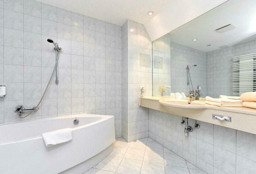 Номер Deluxe, Park