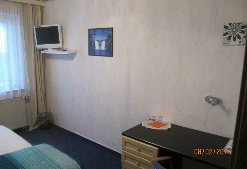 غرفة قياسية فردية, Pension Check In