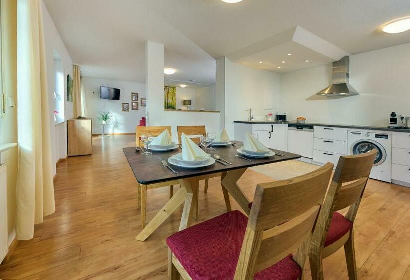 Апартаменты 1 Спальня, Pension Gabriela