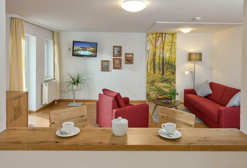 Апартаменты 1 Спальня, Pension Gabriela