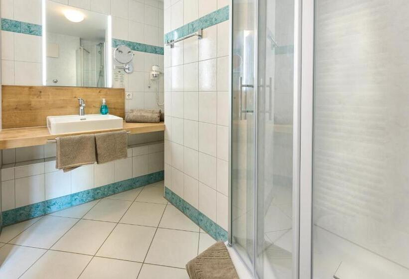 Апартаменты 1 Спальня, Pension Gabriela